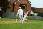 thats a boundary!